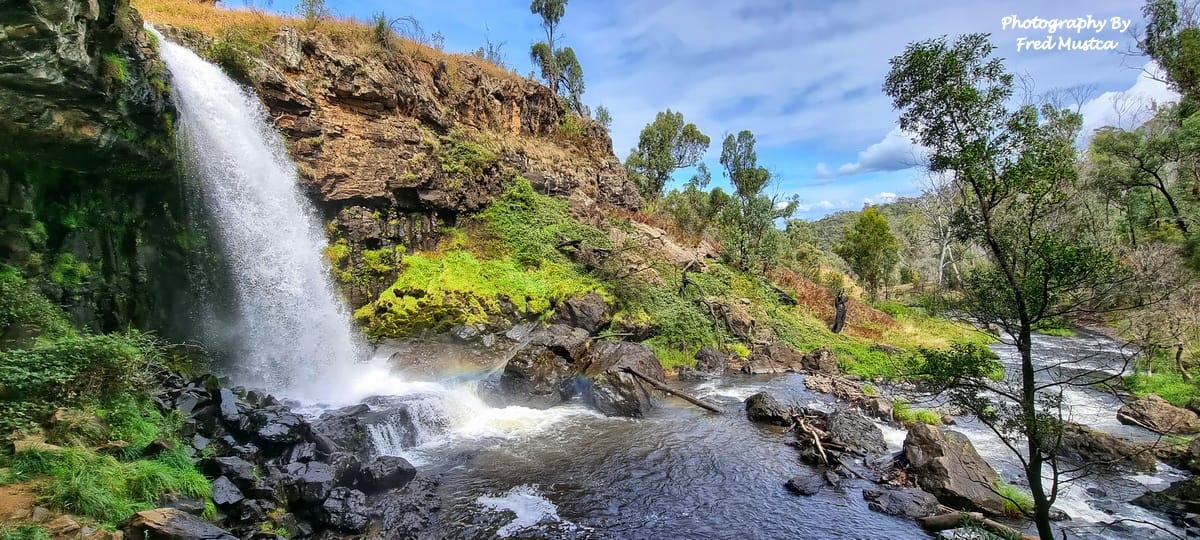 Rural Beauty — photograph by Fred Mustica